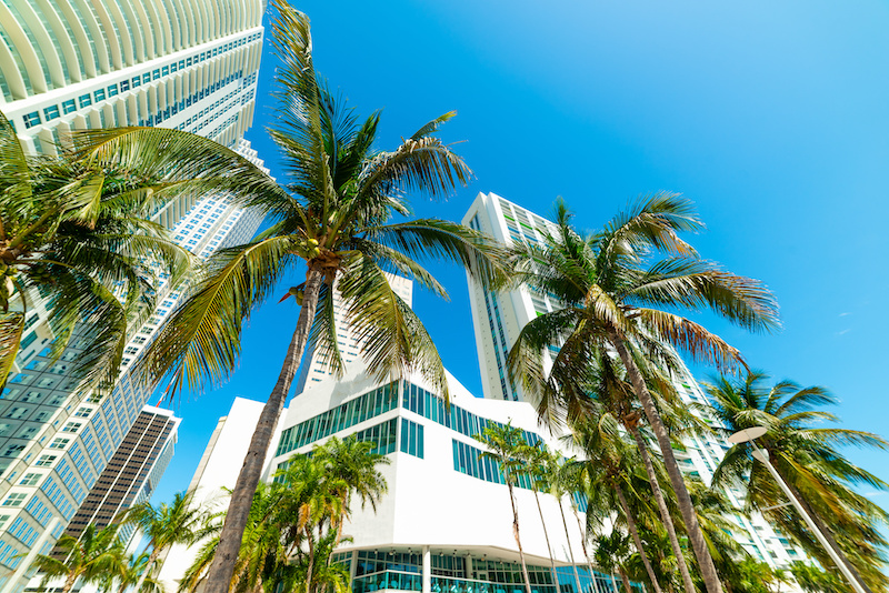 Palm trees and skyscrapers in downtown Miami